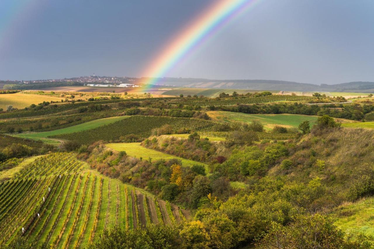 Vinoza - Ubytovani A Vinny Sklep Velke Bilovice Rulandova المظهر الخارجي الصورة
