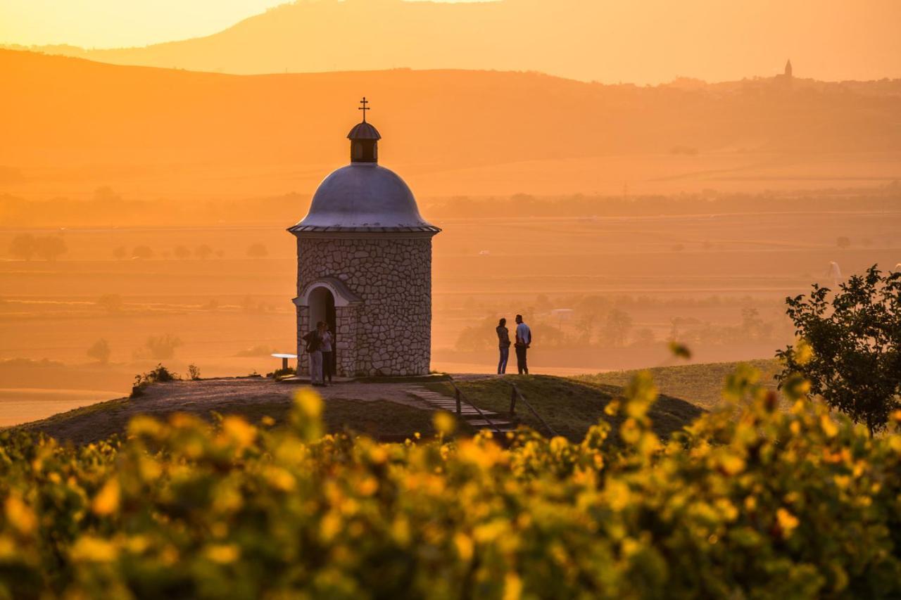 Vinoza - Ubytovani A Vinny Sklep Velke Bilovice Rulandova المظهر الخارجي الصورة