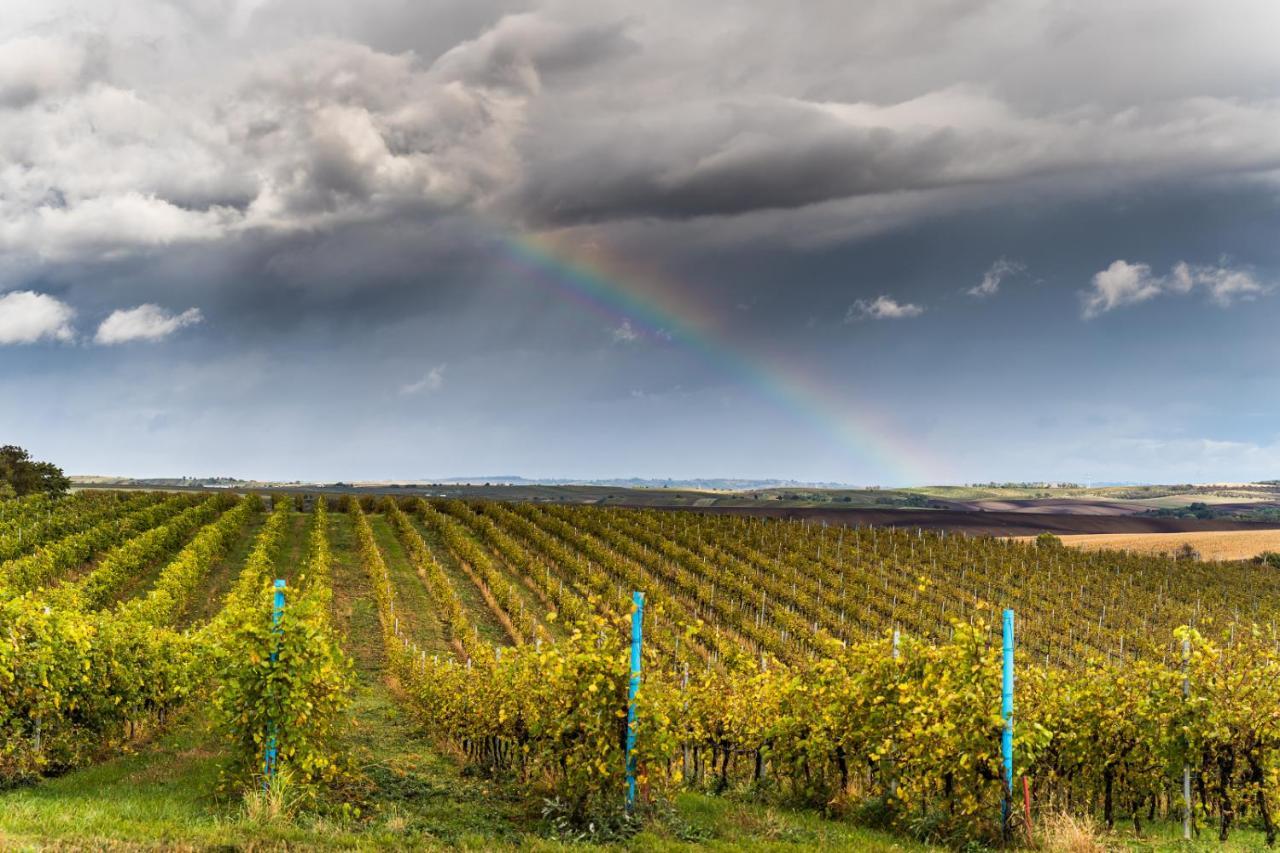 Vinoza - Ubytovani A Vinny Sklep Velke Bilovice Rulandova المظهر الخارجي الصورة