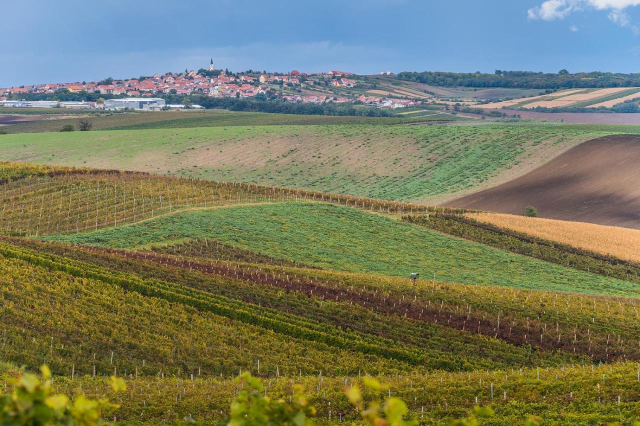 Vinoza - Ubytovani A Vinny Sklep Velke Bilovice Rulandova المظهر الخارجي الصورة