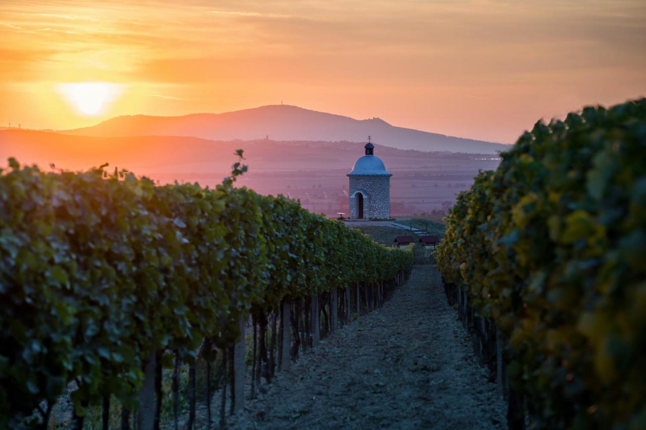 Vinoza - Ubytovani A Vinny Sklep Velke Bilovice Rulandova المظهر الخارجي الصورة